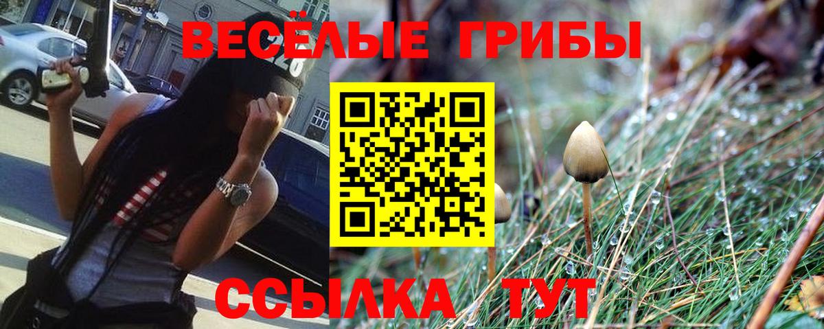 как найти закладки  Галлюциногенные грибы Psilocybine cubensis  Вход с VPN  Сунжа 